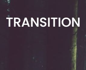 Transition Global logo