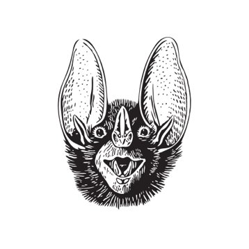 Batshit Crazy Ventures logo